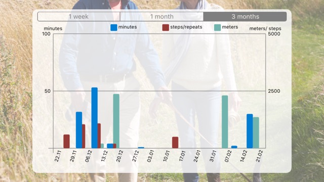 Exercise achievements chart